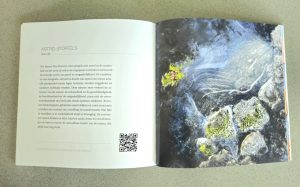 Astrid Stoffels, Kunstcatalogus, Astrid Stoffels pagina Kunscatalogus, New Horizons Astrid Stoffels, New Lif, 